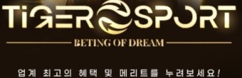 타이거